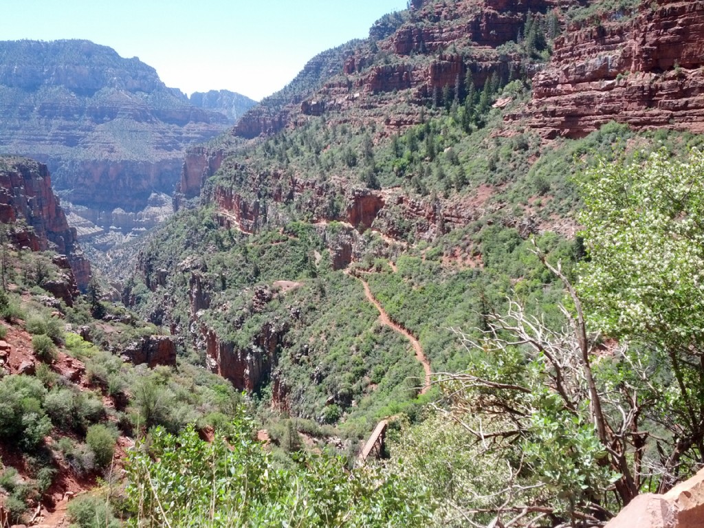 Looking back on the "easy" part of N. Kaibab Trail