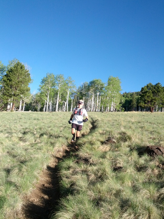 Running through a meadow on Kachina Trail